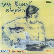 หนู มิเตอร์ - อะคูสติก-web